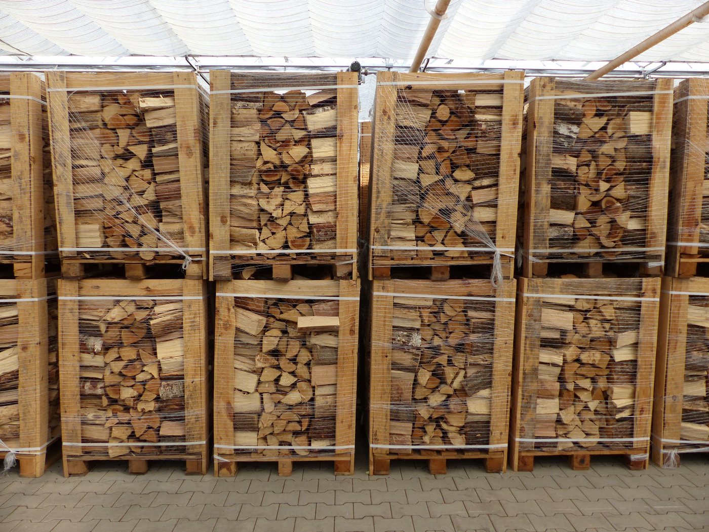 120 kg Mix-Brennholz ca. 25 cm – Esche, Erle, Eiche & Birke, ofentrocken für Kamin und Ofen Bild 5