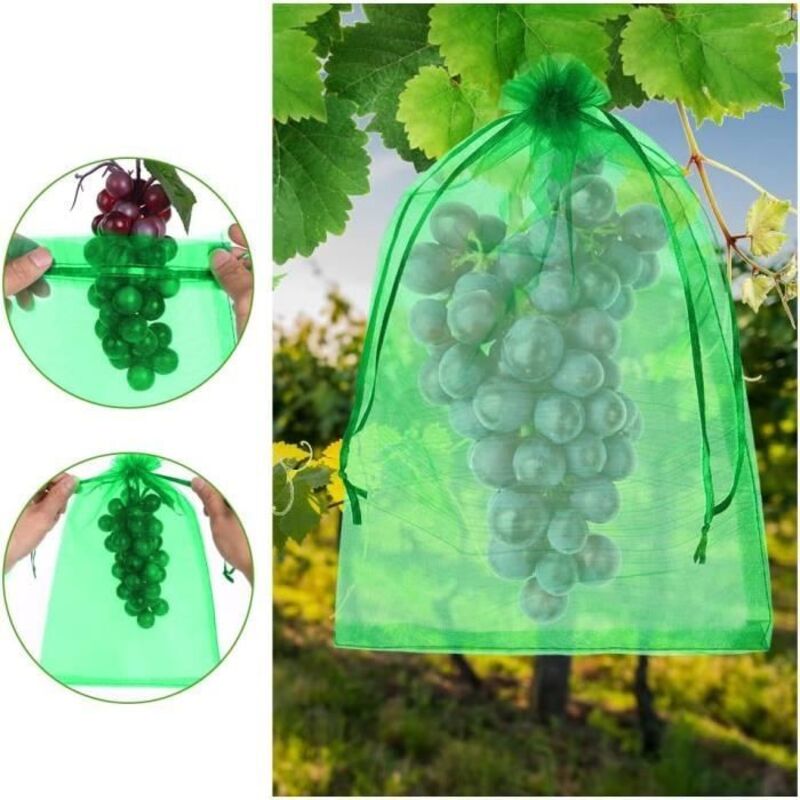 Obstschutzbeutel – 50 Stück – Dunkelgrün – 20 X 30 Cm – Insektensicher