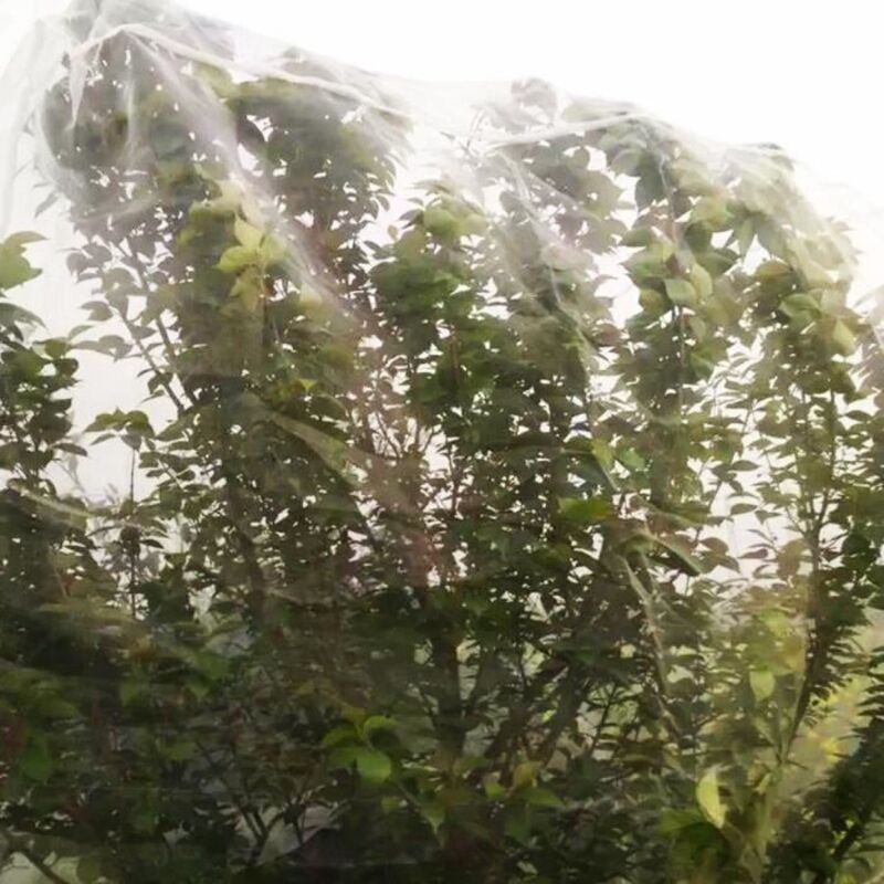 Insektennetz Für Gärten – Lang Anhaltender Schutz – 2 X 10 M – Pflanzenschutz