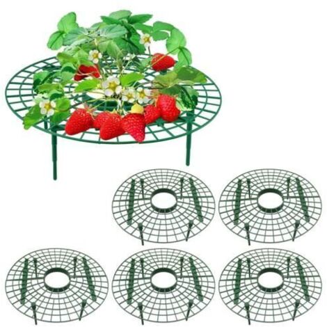 Set Mit 5 Erdbeerpflanzenrahmen – Verstellbare 4-bein-stütze – Schneckenschutz – Für Pflanzen
