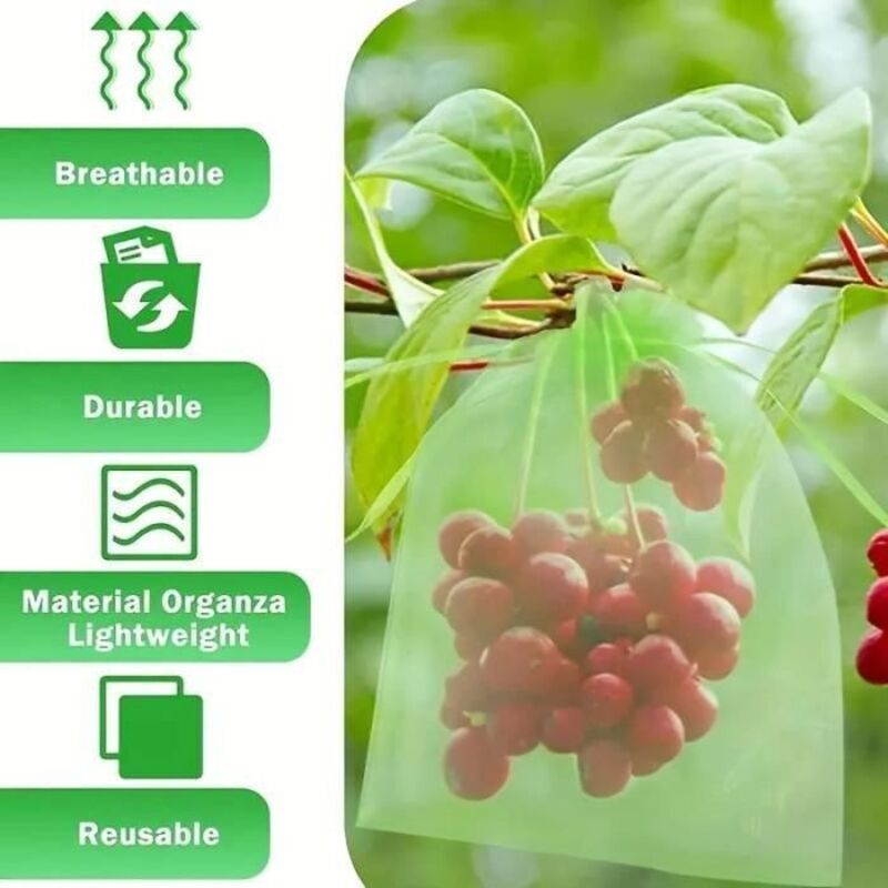 100 Stück Obstschutzbeutel – Schutznetze Für Obstbäume – Gartensäcke Für Obst