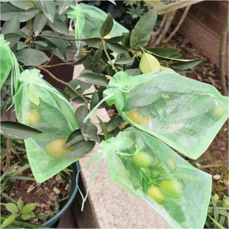 100 Schutzbeutel Für Weintrauben, Gartennetz Für Obst, Insektensichere Beutel Mit Kordelzug, Inklusive Etiketten