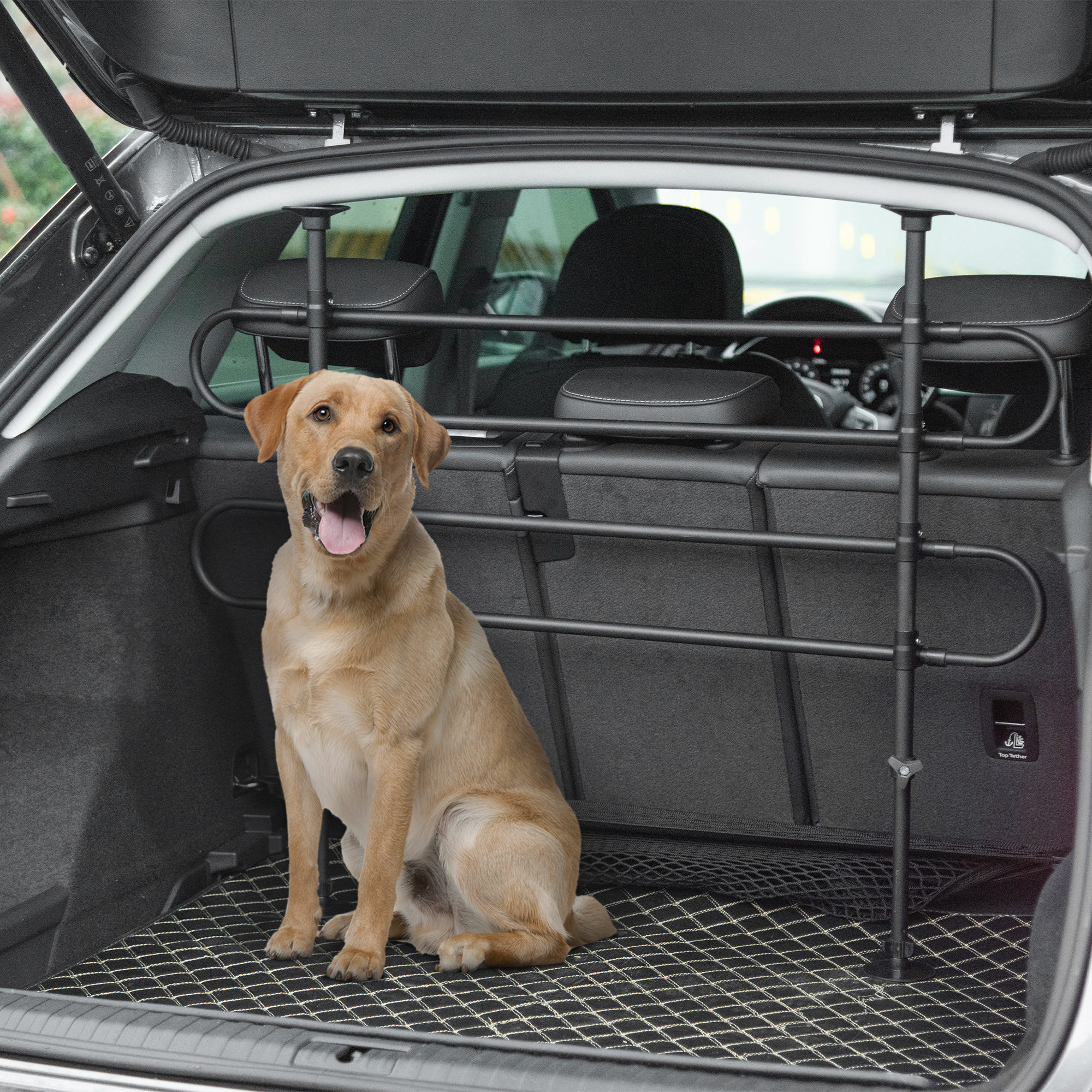 Höhen- Und Breitenverstellbares Hunde-schutzgitter Fürs Auto, Universelles Haustier-schutzgitter, Schutznetz Für Den Transport Von Haustieren, Schwarz