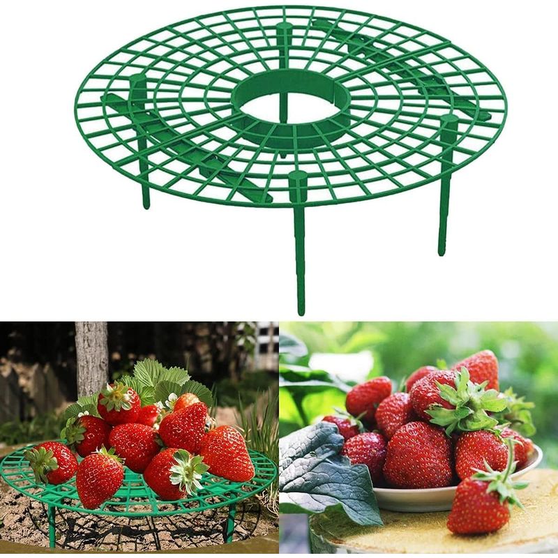 10 Erdbeerpflanzenstützen, Abnehmbare Kunststoff-pflanzstützen Für Obst, Tablettrahmen Für Gewächshäuser Und Topfpflanzen