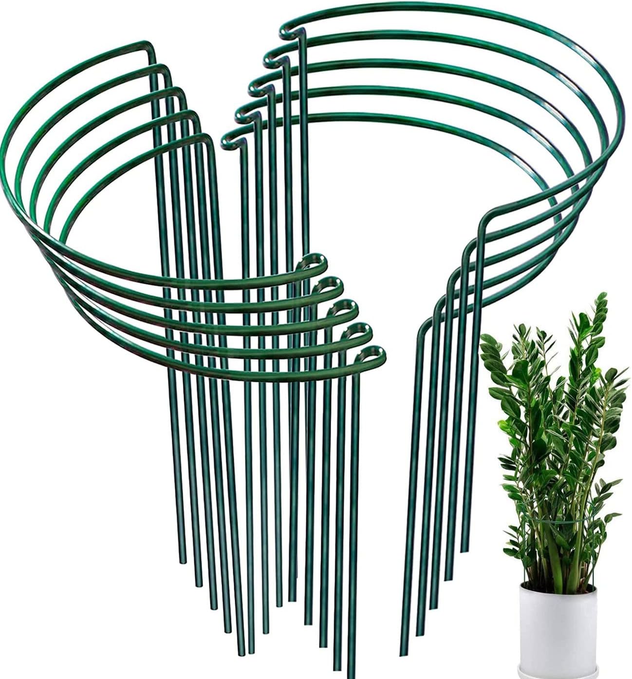 Set Mit 10 Halbkreisförmigen, Verzinkten Stahl-pflanzstützen Für Hortensien, Pfingstrosen Und Stauden – 25 Cm X 40 Cm