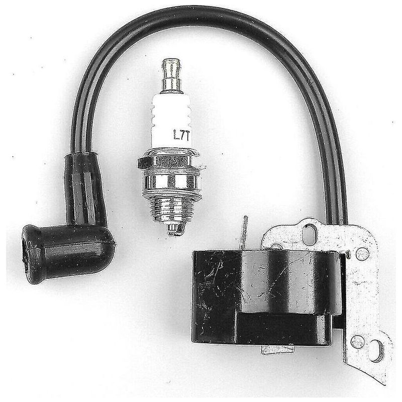 Zündspule Mit Zündkerze Für Stihl Freischneider Fs38, Fs46, Fs45, Fs55, Fc55, Fc55z, Fc55-dz, Hl45, Hl45z, Hs45, Hs45z, Km55, Km55rz, Km55c, Km55r, Ersetzt Teilenummer 4140 400