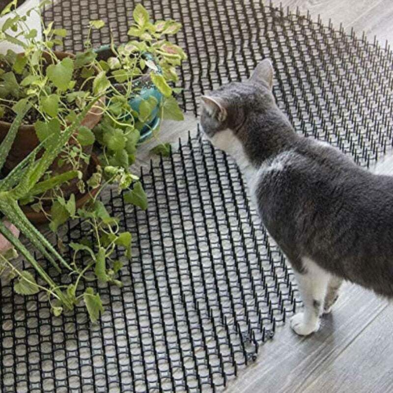 10 Stück 1347 Cm Lange Anti-katzen-dornenmatte, Anti-vogel-dornenmatte, Gartenschutz Gegen Vögel, Mit 10 U-förmigen Spikes - 20 Stück
