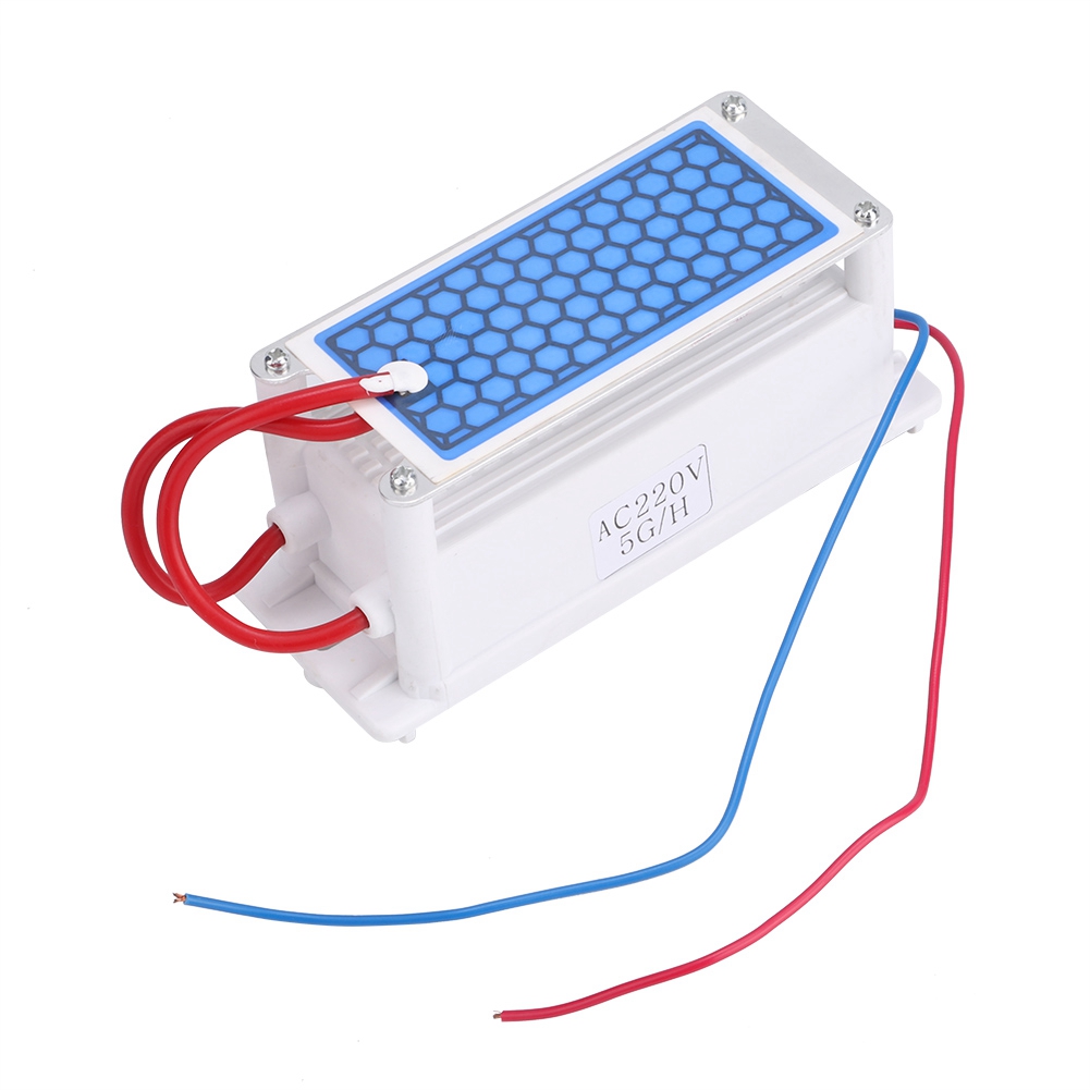 Tragbarer 220-v-ozongenerator, Luft- Und Wasserreiniger, 5 G/h Keramikplattensterilisator