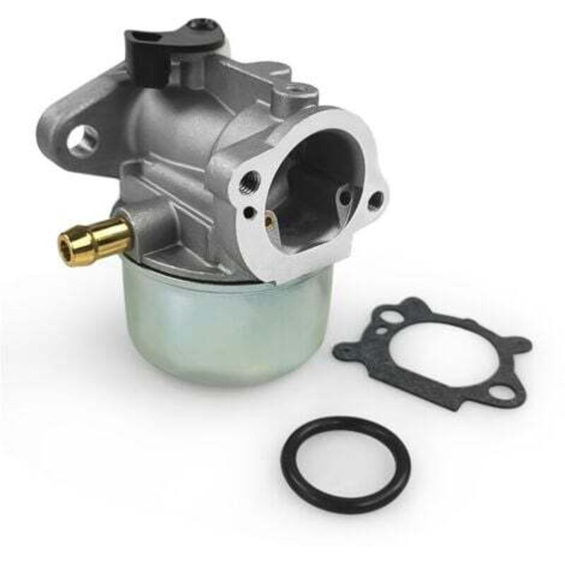 [niemals Verwendet] Vergaser 799868 Mit Dichtung Und O-ring, Kompatibel Mit Briggs & Stratton Vergasern 498170, 498254, 497347 Und 497314