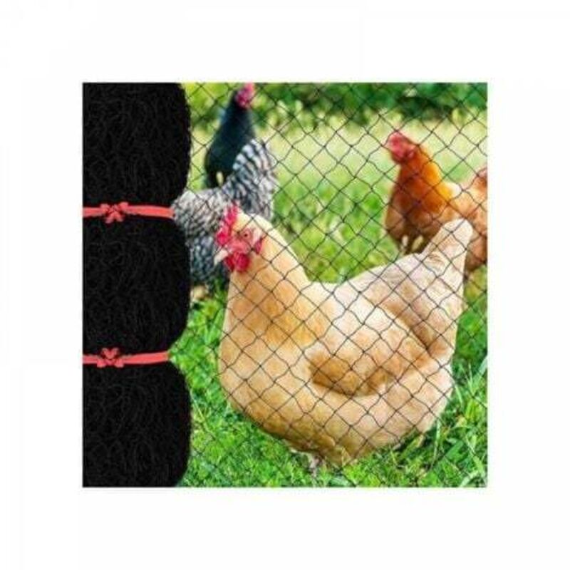 [niemals Verwendet] 7,6 X 15,2 M Vogelschutznetz Mit 2,5 Cm Maschenweite, Wiederverwendbares Gartennetz Für Hühnerställe, Nylon-geflügelnetz Für Wildzäune Zum Schutz Von Obstbäumen Vor Licht
