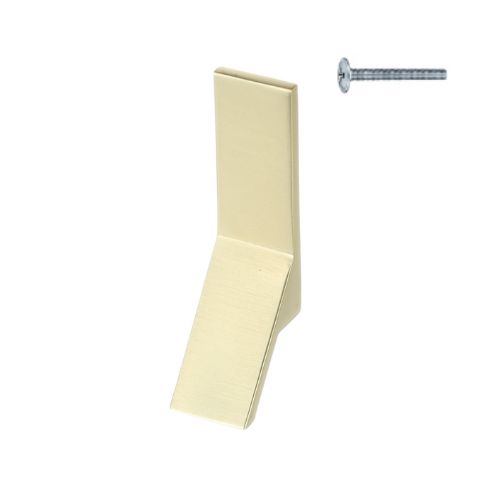 Riex Xk09 Möbelknopf Aus Gebürstetem Gold