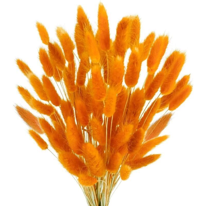 Bardusch-120 Getrocknete Orangenblüten, Im Bohème-stil, Frei Verwendbare Rohstoffe Für Wohnzimmer, Büro