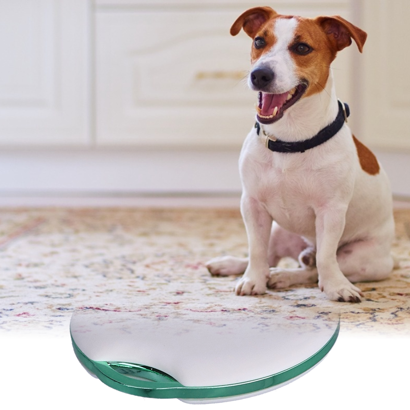 Intelligenter Elektronischer Tracker Mit Diebstahlschutz, Wlan, Bluetooth Und App-funktionalität Kleiner Heim-tracker Für Hunde, 39 Mm Pc, Weißes Modell