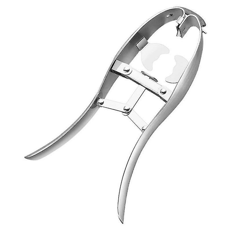 Eierschalen-schneider, Wachtelöffner, Schere, Aufsatz Aus Stahl