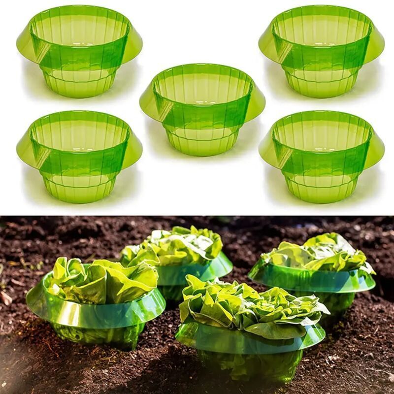 Odipie – 6er-set Schneckenschutzmanschetten Für Gemüse – Strapazierfähiger Kunststoff – Optimale Luftzirkulation – Maße: 24 X 12,5 X 11,5 Cm