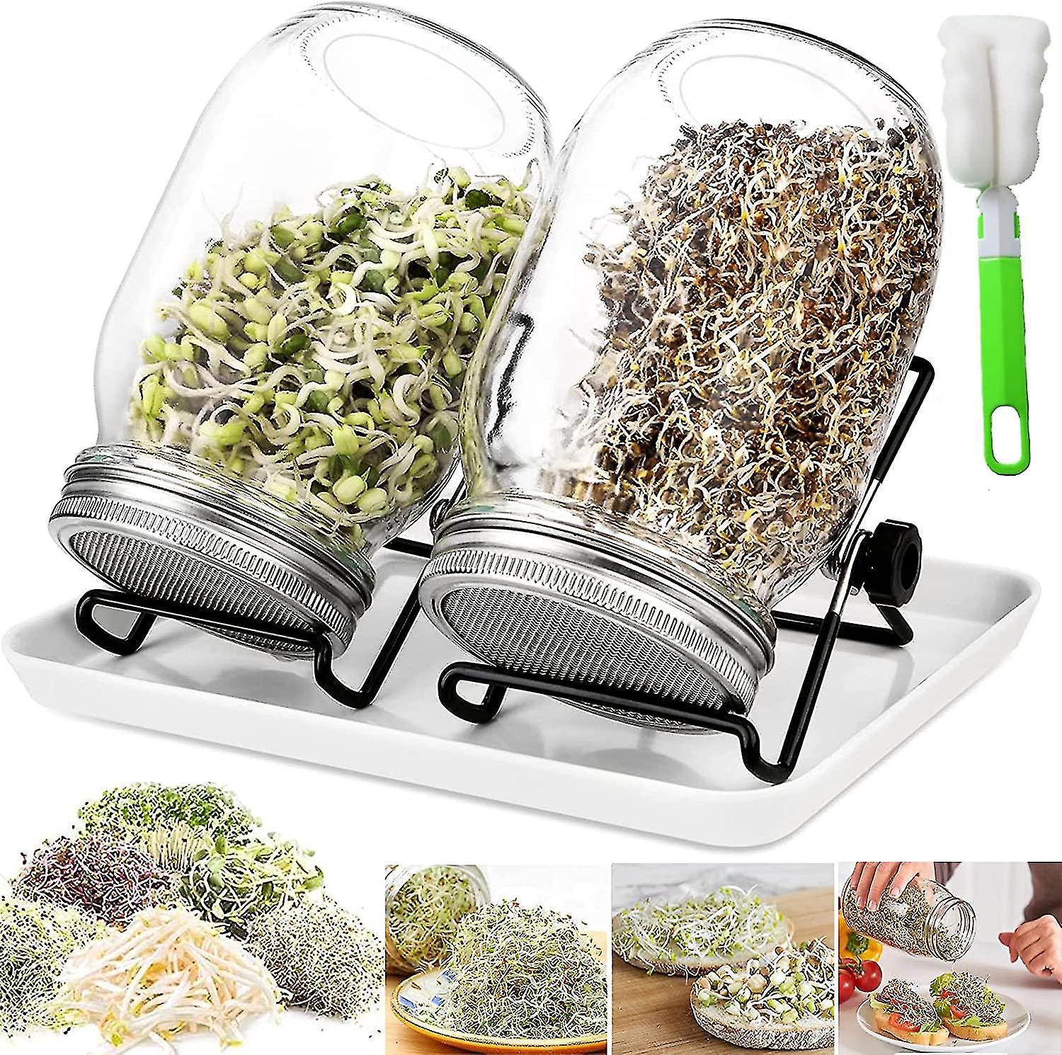 950-ml-glaskeimgefäß Mit 2 Gittern, 2 Stützen Und 1 Keimschale. Ideal Für Brokkoli, Wassersellerie Und Alfalfa.