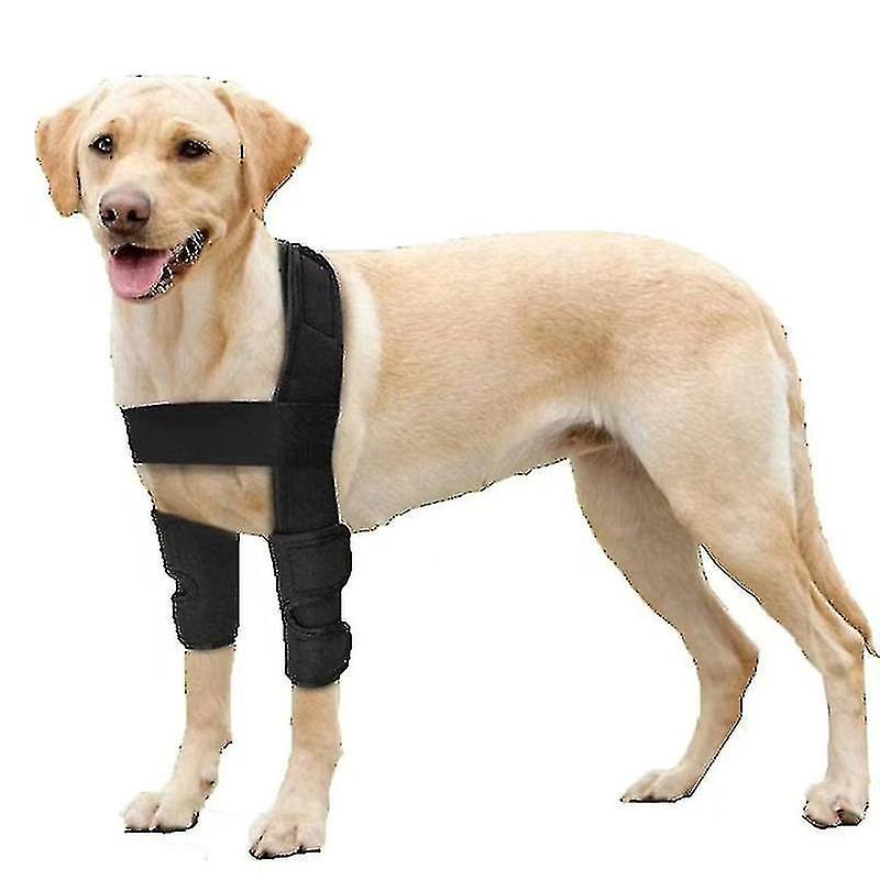 Atmungsaktive Schutzpolster Für Hunde-ellbogen Und -schultern Zur Unterstützung Von Ellbogen Und Schultern Bei Hygromen, Hüftdysplasie, Arthrose Und Hornhautbildung Am Ellbogen.