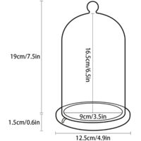Klare Glasglocke Mit Bambusfuß Für Hochzeitsdekorationen, Partys Und Blumenarrangements