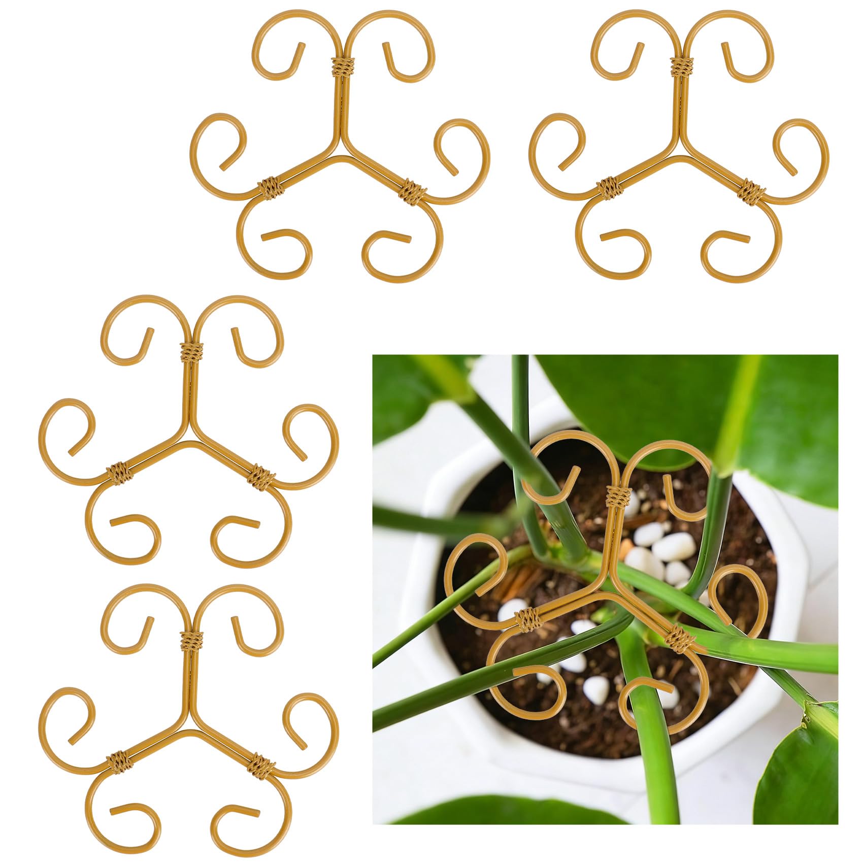 Eisen-stammstützen Für Monstera, Für Zimmerpflanzen, Pflanzenstammstützringe.