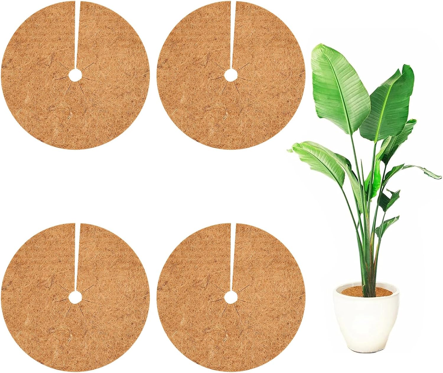 Kokosfaserscheibe Für Pflanzen, Gartenmulchgewebe, Kokosmatte Für Pflanzen, Schützt Pflanzenwurzeln, Wintermulchscheiben, Schutz Für Topfpflanzen (40 Cm, 4 Stück)