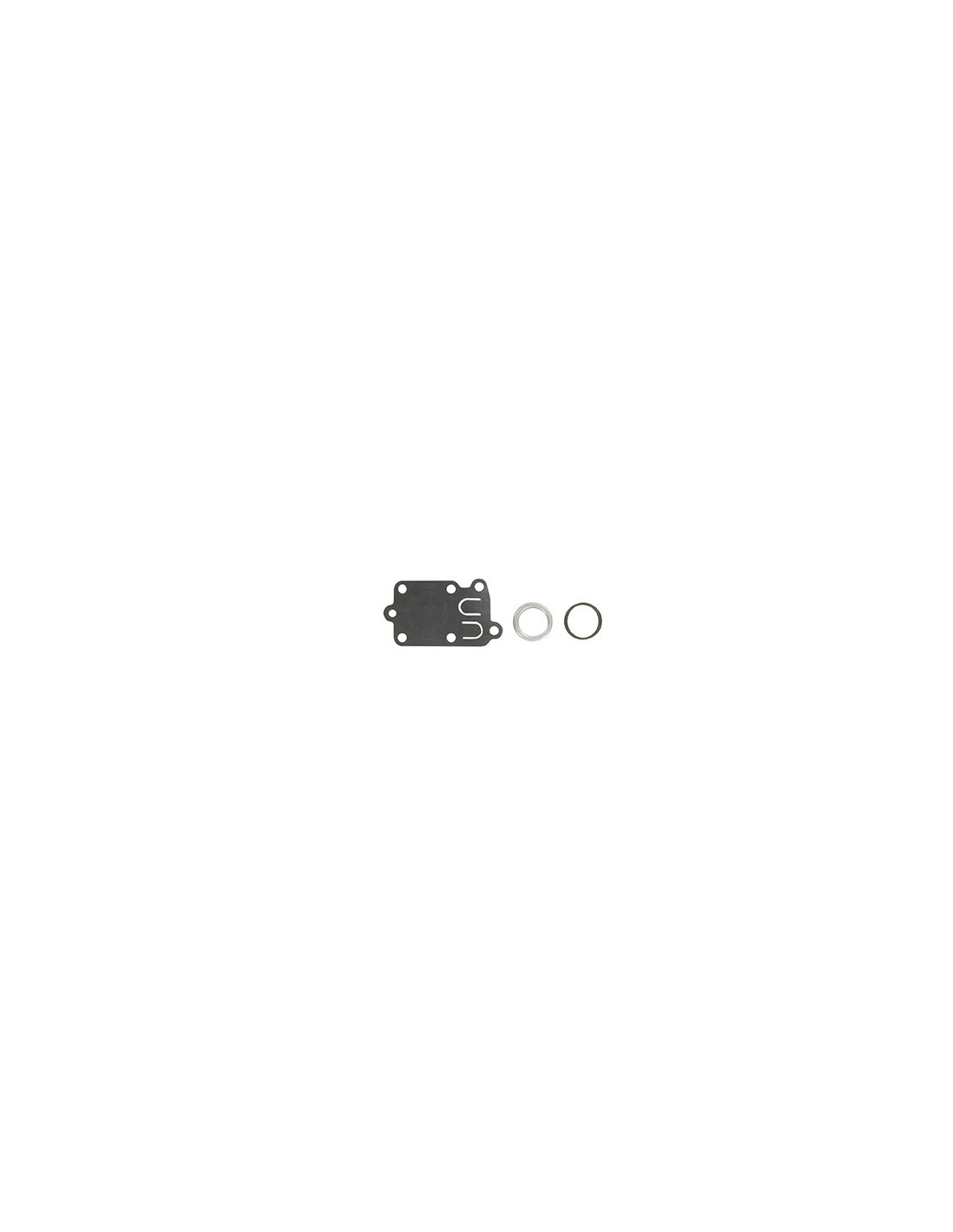 Dichtungssatz Membrane Feder Et O-ring Briggs Et Stratton 270026
