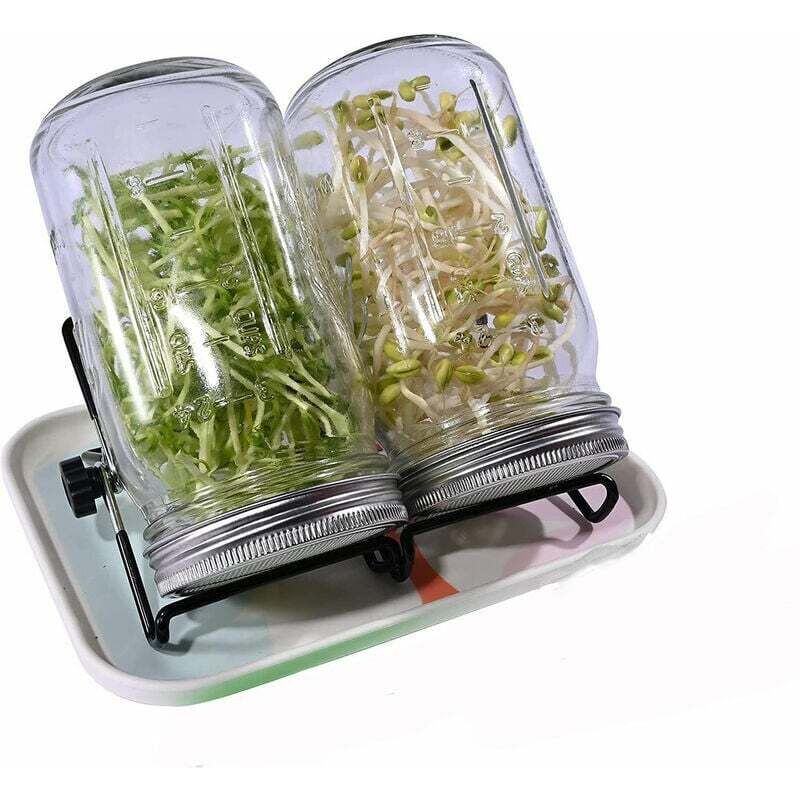 946 Ml (32 Oz) Keimapparat Mit Edelstahldeckeln, Schale, Ständer Und Samenspender
