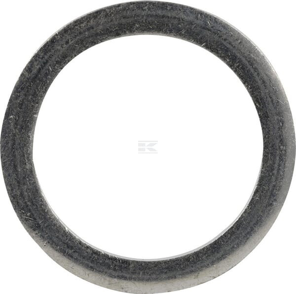 Dichtring Deutz 01148891