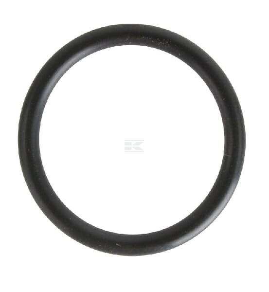 Dichtring Sdf Deutz 1167374