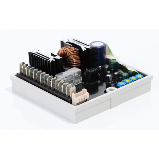 Avr-reglerplatine (nur Printplatte) Dsr