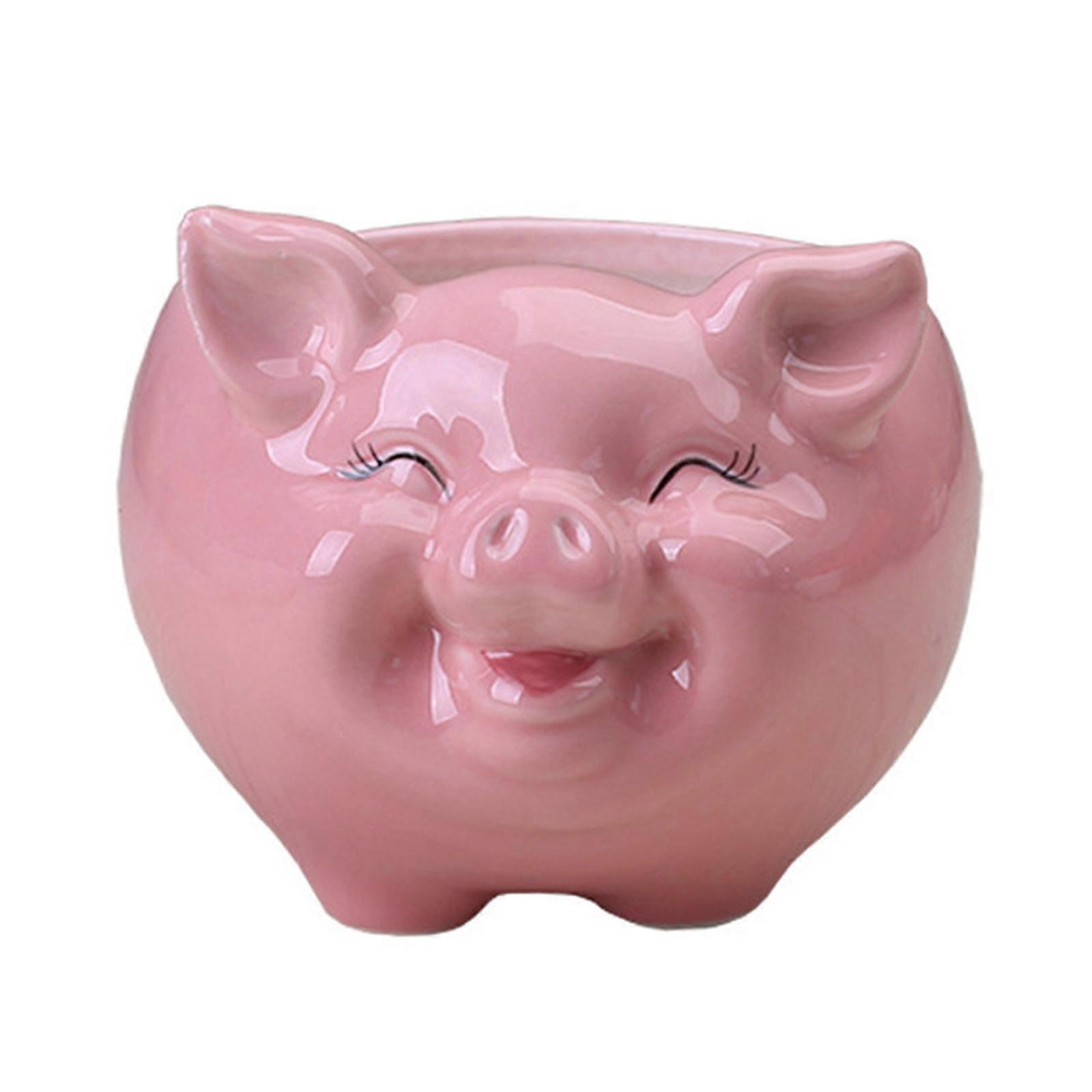 Keramiktopf Im Nordischen Stil, Cartoon-schwein-motiv Für Sukkulenten Und Bonsai, Großer Dekorativer Rosa Topf.