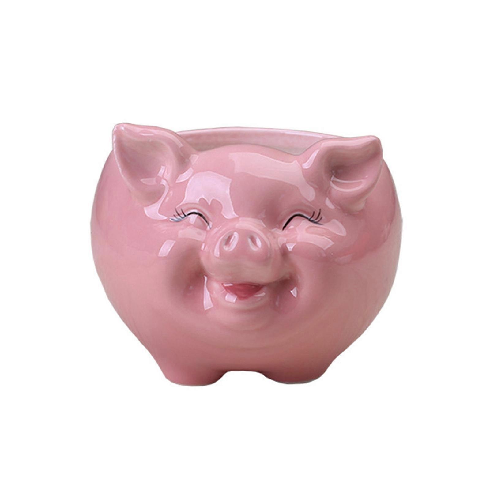 Keramiktopf Im Nordischen Stil, Rosa Cartoon-schwein, Topf Für Sukkulenten Und Bonsai, Kleine Topfpflanze, Innendekoration.