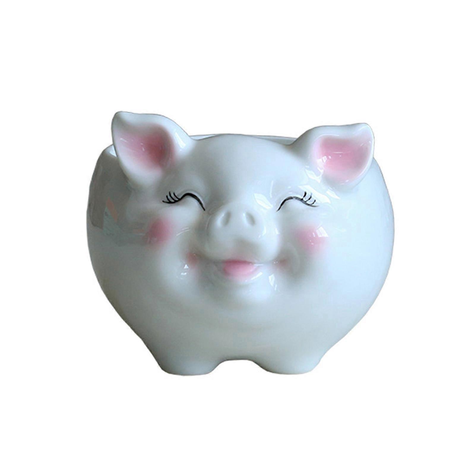 Keramiktopf Im Nordischen Stil, Cartoon-schwein-motiv Für Bonsai-sukkulenten, Kleine Größe, Weiß.