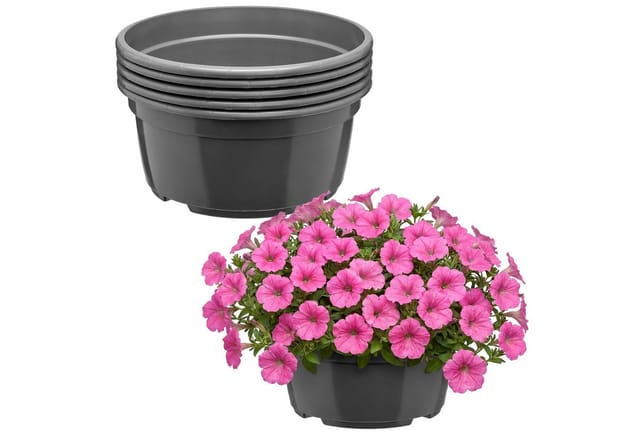 Garronda Blumentopf Rund Pflanzschale Ø 19 X 9,5 Cm (2,2 L) 5er Set Kunststoff Mit Drainage Pflanzgefäß Für Wurzelpflanzen Zwiebelpflanzen Garten Anzucht Innen Außenbereich Anthrazit Gd-0207