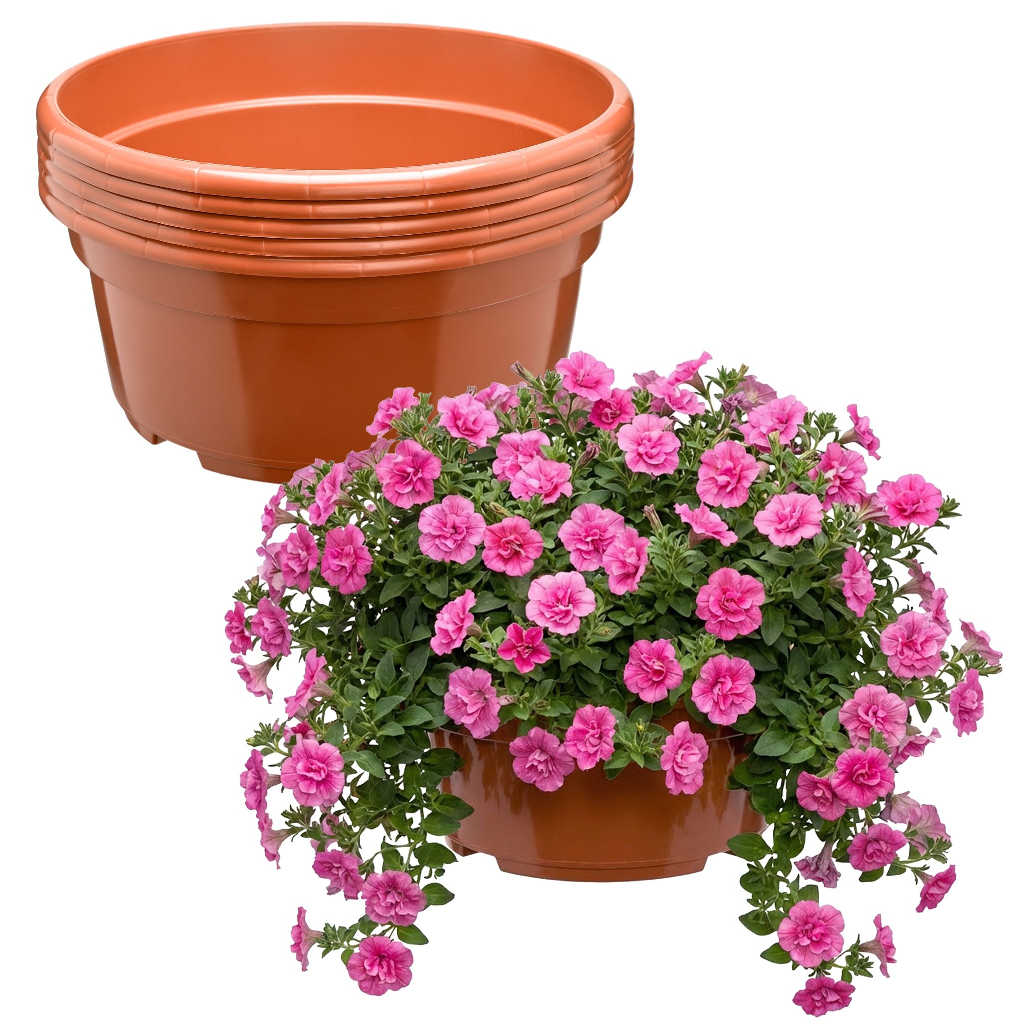 Garronda Blumentopf Rund Pflanzschale Ø25 X 11,5 Cm (4,7 L) 5er Set Kunststoff Mit Drainage Pflanzgefäß Für Wurzelpflanzen Zwiebelpflanzen Garten Anzucht Innen Außenbereich Terrakotta Gd-0207