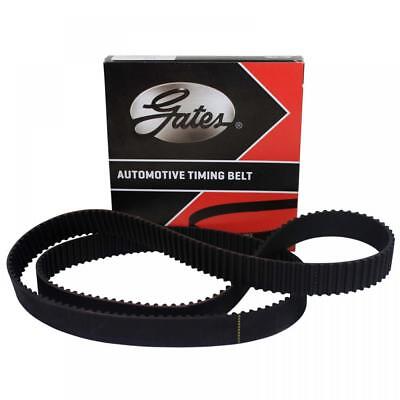 Gates Zahnriemen Honda Gl 1200 Gold Wing '84-87 (breite 19mm, Zähne 88, Oem: 14400-mg9-004) (5043)