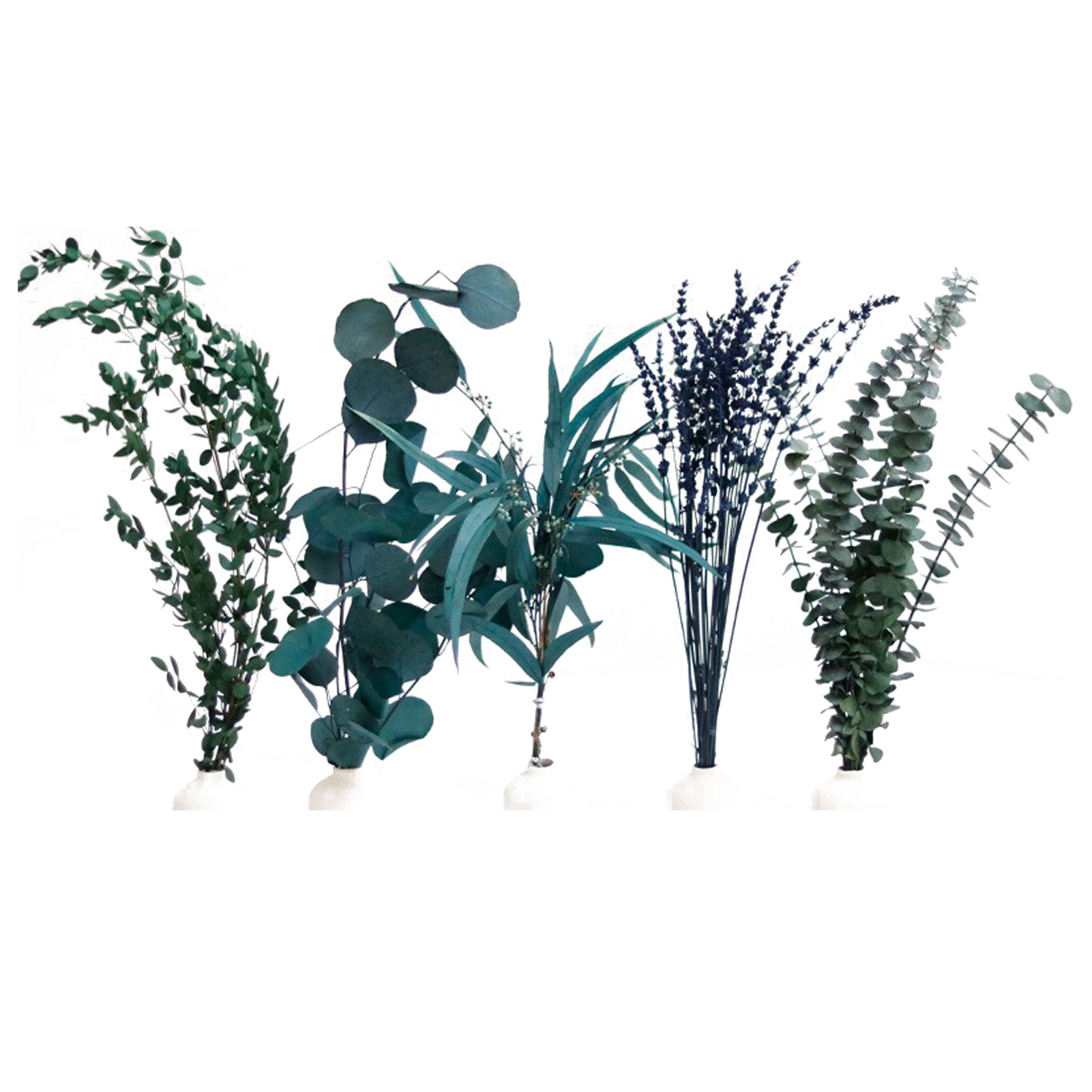 Diy-bouquetvase Ch-026-5 Mit Getrocknetem Eukalyptus Und Natürlich Duftendem Zier-wassernabelkraut, 30 Cm Bouquet Zum Gestalten