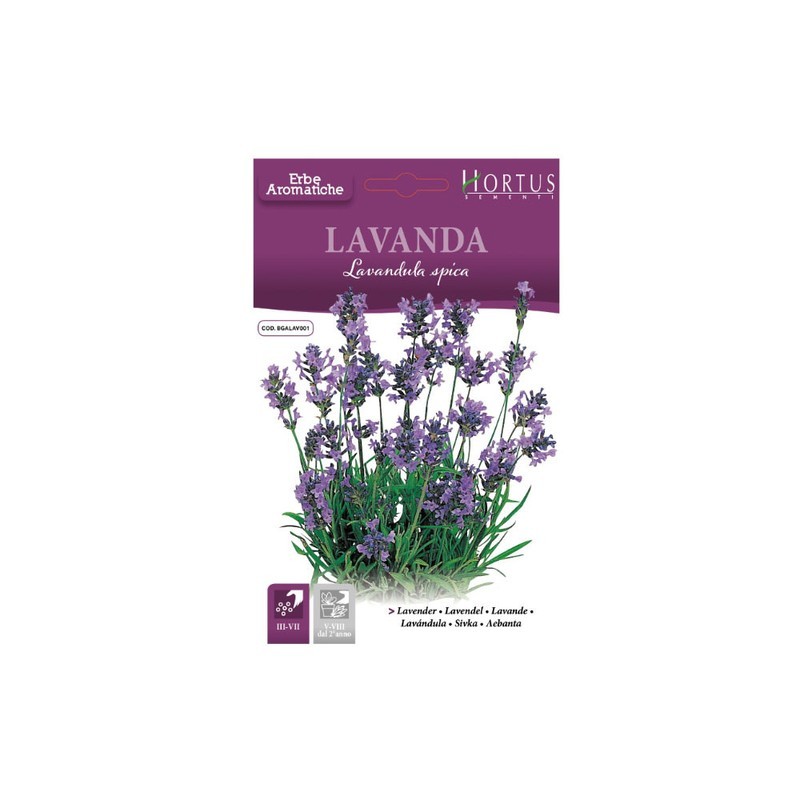 Lavanda Duftöl Für Aromatherapie