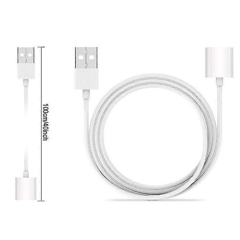 Câble Adaptateur De Charge Usb Pour Apple Pencil (ipad Pro 2024) - 1 M