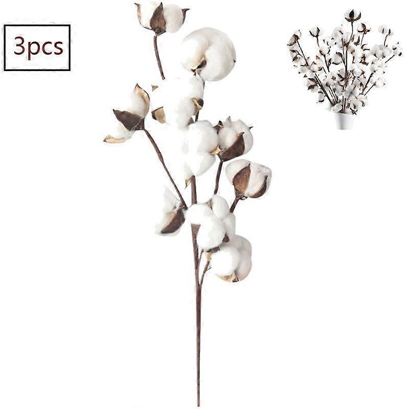 Natürliche, Getrocknete Baumwollzweige (56 Cm, 10 Köpfe) - Künstliche Farmblumen - Ideal Zum Dekorieren Von Blumenarrangements, Für Diy-projekte, Für Zuhause Und Partys.