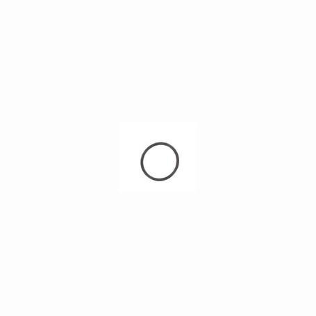 O-ring Briggs Et Stratton 270920 - 271170 - 691870 - 805012