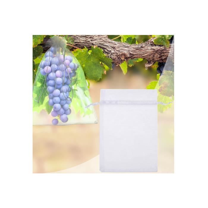 Organza-fruchtschutzbeutel - 100 Beutel - 30cm X 20cm - Transparent