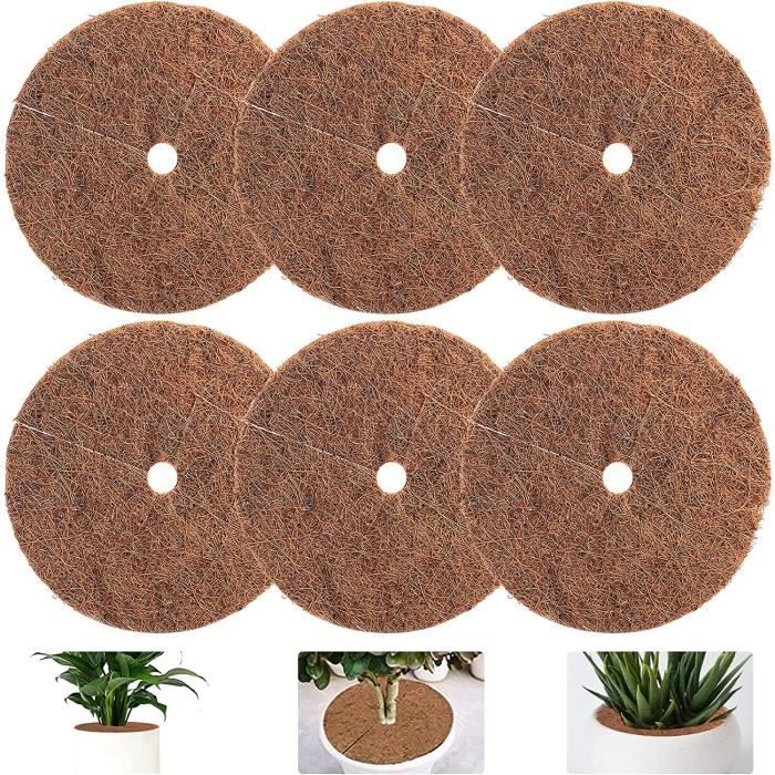 Kokosfasermulchscheiben 30cm - Wurzelschutz - 6er Pack