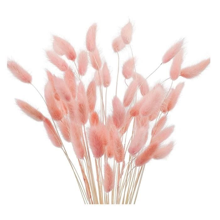 Trockenblumen - Pampasgras - 60 Stück - Unverweslich - Natürliche Dekoration - Höhe 40 Cm