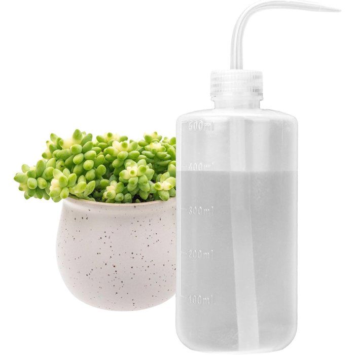 Kompressible Gießkanne - 500 Ml - Mit O-ring Gegen Auslaufen - Für Zimmerpflanzen, Sukkulenten Und Kakteen