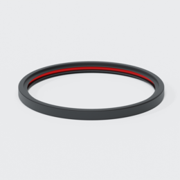 Po Doppellippendichtring Dn 125