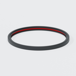 Po Doppellippendichtring Dn 315