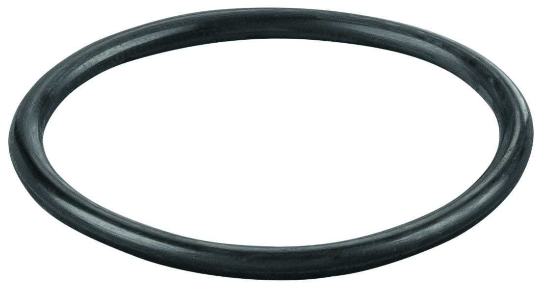 Rems O-ring 060019