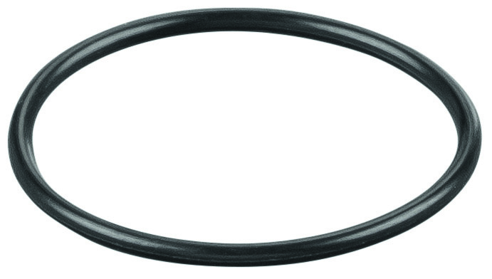 Rems O-ring 060109