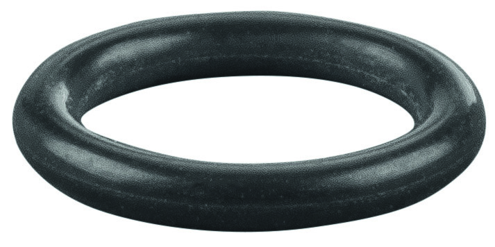 Rems O-ring 060165