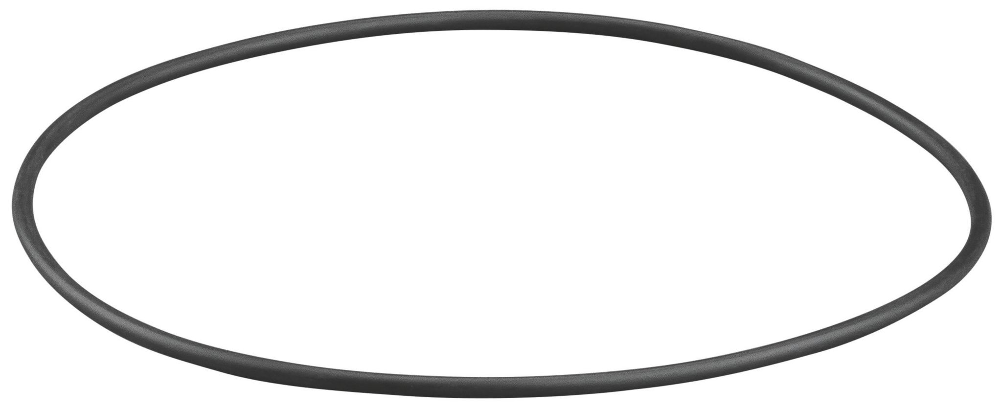 Rems O-ring 060171